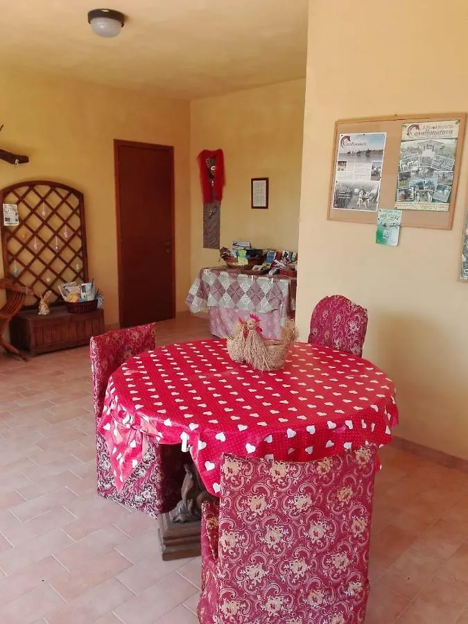 Vakantieboerderij Fattoria San Vincenzo Villa Marina di Grosseto Italië