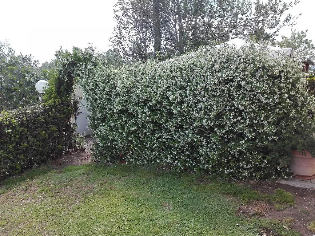 Farm stay Fattoria San Vincenzo Villa Marina di Grosseto